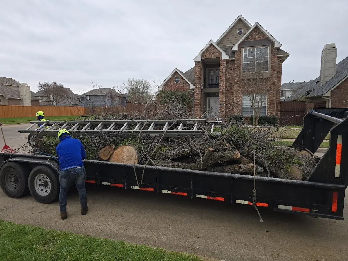 Expert Lot Clearing with proper safety equipment in Nebo